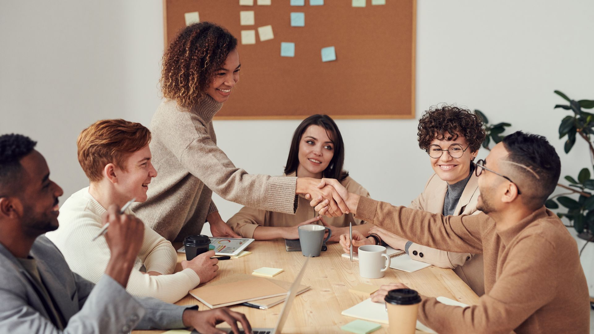Équipe SENPROG en réunion de travail